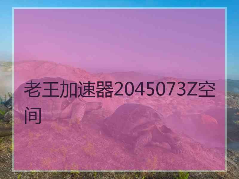 老王加速器2045073Z空间