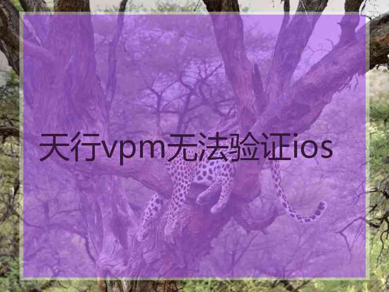 天行vpm无法验证ios